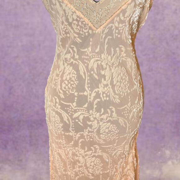 Rare Victoria's Secret silk/rayon sheer crushed velvet gown - Picture 5 of 8